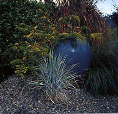 Pot